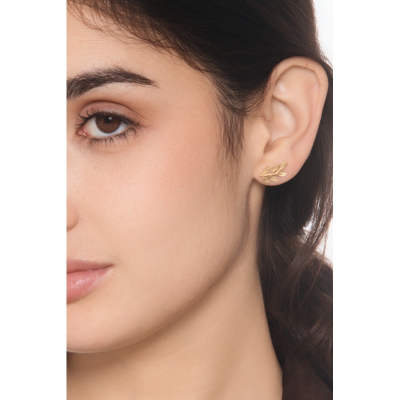 Blatt-Ohrstecker 18 Karat Gelbgold